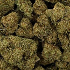 Fleur de CBD - RASPBERRY HAZE