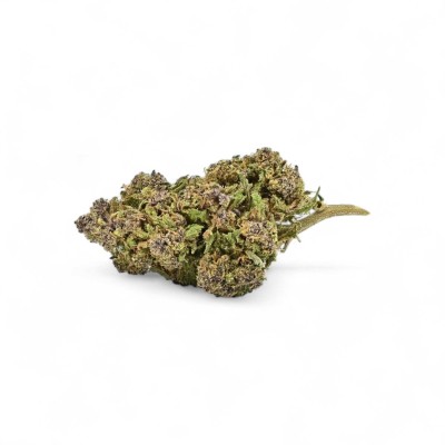 Fleur de CBD Purple Cookie Greenhouse Premium