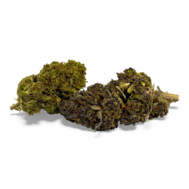 Fleur de CBD Mandarine Haze Greenhouse