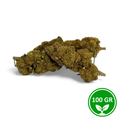 Fiori CBD Critical+ Greenhouse 8% - 100g Premium | Acquista Online