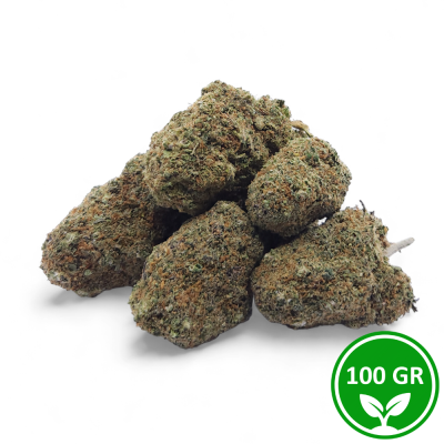 Flor CBD Gelato Glue Indoor Premium 13% - Lote 100g | Cultivo Interior Suizo