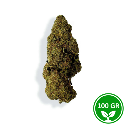 Flor CBD Raspberry Haze 100g - Taxa Superior 16% | Qualidade Italiana Premium