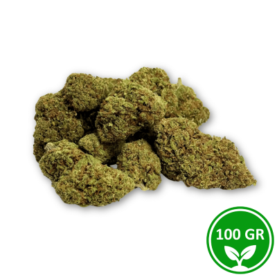 Flor CBD Royal Boss Weed NL-1 10% Pack 100g Indoor Premium Portugal