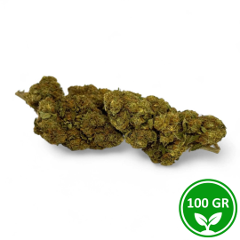 Fiore CBD Strawberry Haze 8% 100g - Premium Italiano