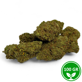 CBD Blüten Amnesia 2.0 Greenhouse 100g - Premium aus Kalifornien