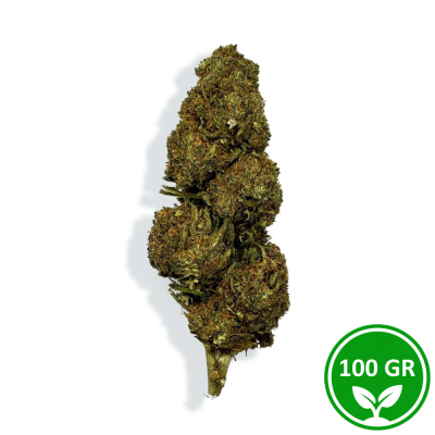 Fleur CBD Blueberry 100g Premium - Arôme Myrtille Greenhouse Italie