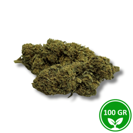 Fiore CBD Gorilla Greenhouse 100g - 8% CBD Premium