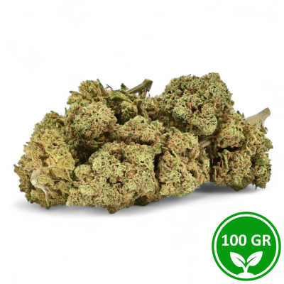 Flor CBD Remedy 100g Premium Greenhouse - Aromas Terrosos Relajantes