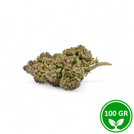 CBD Blüten Purple Cookie Greenhouse Premium 100g Kaufen