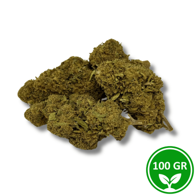 Flor de CBD BZ1 100g - 15% CBD Italiana Greenhouse | Aroma Frutado