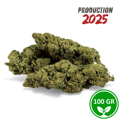 CBD Blüten Super White Frost Greenhouse 100g Premium aus Italien - Versand 24H