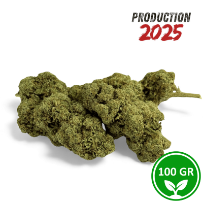 Fleur CBD Grape Gas Greenhouse 100g - Production Italienne 2025 Premium