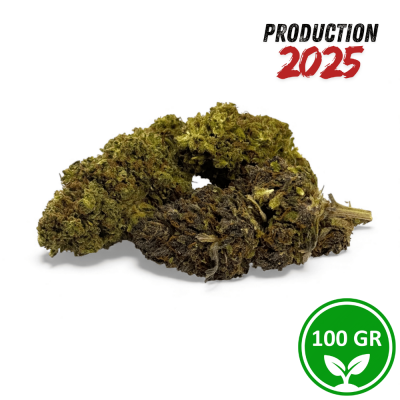 Fleur CBD Mandarine Haze Greenhouse 100g - Premium 2025 Tarifs Grossiste