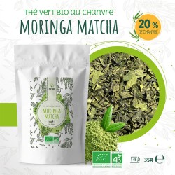 Tè verde biologico Canapa Moringa Matcha