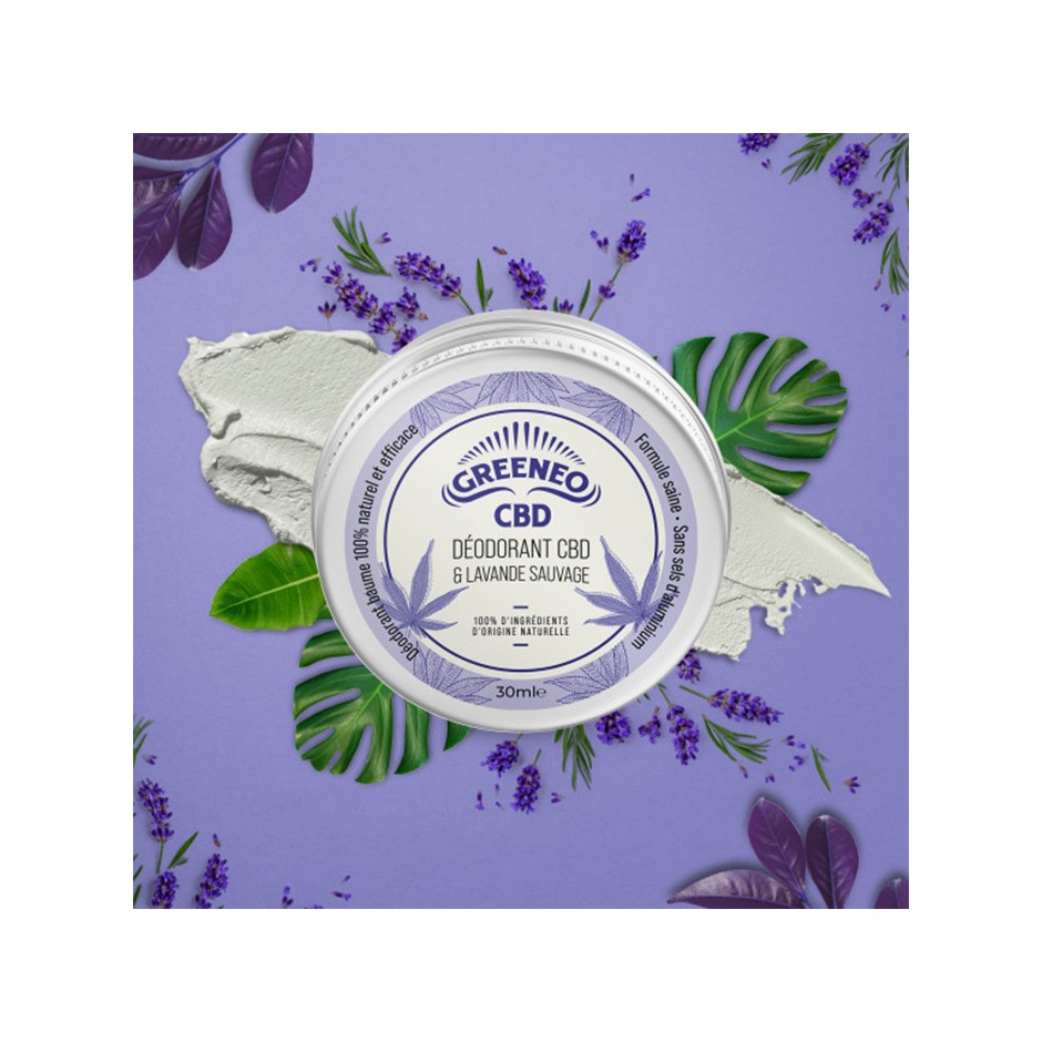 CBD Deodorant mit Lavendel Greeneo