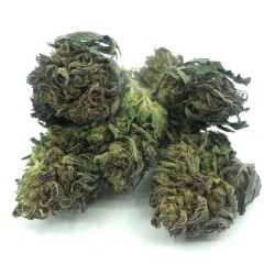 Flor de CBD French Weed
