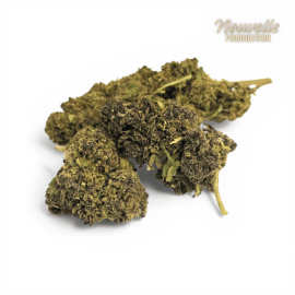 Fleur CBD Saphire Hybride Indoor