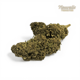 Fleur CBD Saphire Hybride Indoor