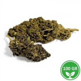 CBD Blüte Saphire Hybrid 100g - Grossist Indoor Premium