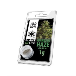 CBD SOLIDE 10% AMNESIA HAZE 1g