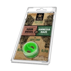 JELLY AU CBD 22% AMNESIA VS...