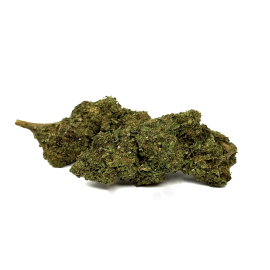 Fleur de CBD La Frappe Delta NL1 + 10-OH-HHC 25%