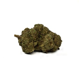Fleur de CBD La Frappe Delta NL1 + 10-OH-HHC 25%