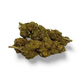 Fleur CBD Critical+ Greenhouse 8%