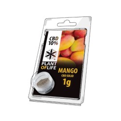 CBD SOLIDE FRUIT 10% Mango 1g