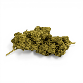 Fleur de CBD Sweet Cheese Indoor