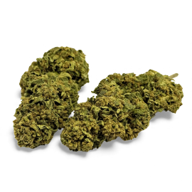 Fleur de CBD Banana Smash Greenhouse