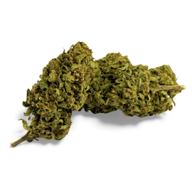 Fleur de CBD Banana Smash Greenhouse