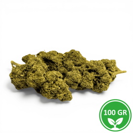 CBD Sweet Cheese Indoor