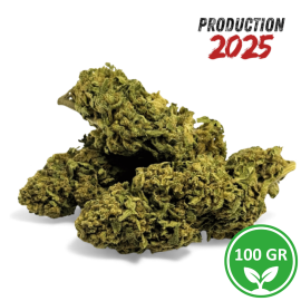 Fiore CBD Banana Smash 100g Greenhouse - Fornitore Grossista