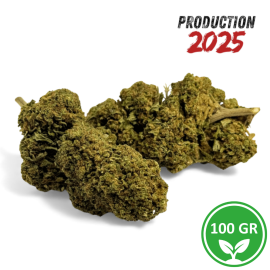 CBD Blüten Black Mamba 100g Greenhouse - Grossist Lieferant