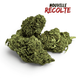 Fleur de CBD AK-47 Indoor