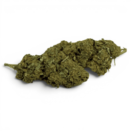 Fleur de CBD Super Silver Haze Indoor