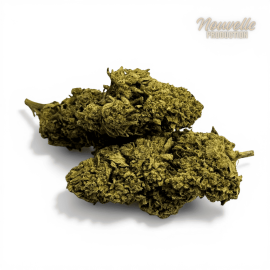 Fleur de CBD California Pink Haze NL-1 10%