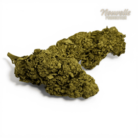 Fleur de CBD California Pink Haze NL-1 10%