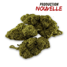 Fleur de CBD Green Crack Indoor Edition Limitée