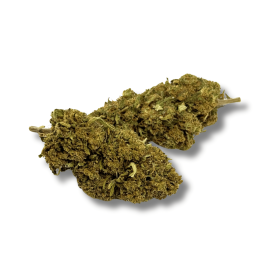 Fleur CBD Buddha Fruit Premium Greenhouse