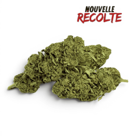 Fleur de CBD Super Skunk Indoor