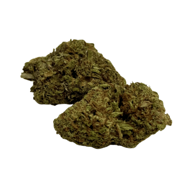 Fleur Tropical Haze 2.0 CBDX (CBD Xtrem)  NL-1 Indoor