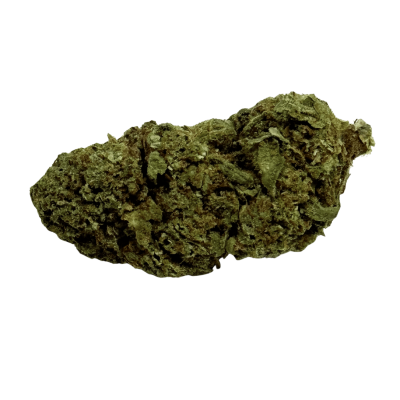 Fleur Tropical Haze 2.0 CBDX (CBD Xtrem)  NL-1 Indoor