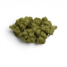 Fleur de CBD White Dawg Indoor