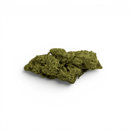 Fleur de CBD Jack Herer Indoor