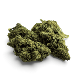Fleur de CBD Tropical Haze Indoor