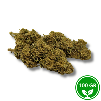 Flor CBD Tangerina Premium Greenhouse 100g | Qualidade Superior