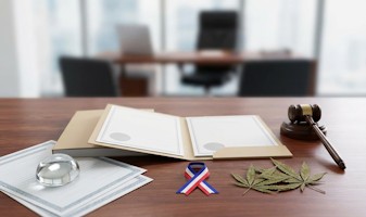 Quel Statut pour Vendre du CBD en France ?