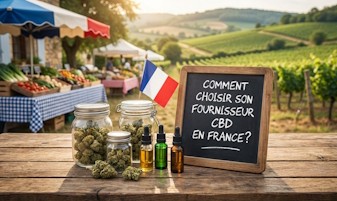 Comment choisir son fournisseur CBD en France ? Le Guide 2026